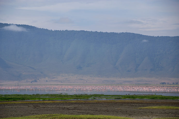 group holiday africa, group safari africa, tanzania group adventure, ngorongoro group trip